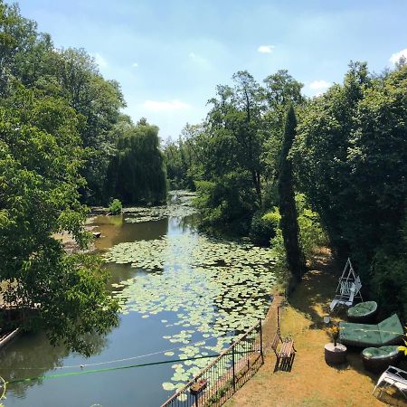 Magnifique Moulin Proche Chablis, Jacuzzi Et Riviere Βίλα Annay-sur-Serein Εξωτερικό φωτογραφία