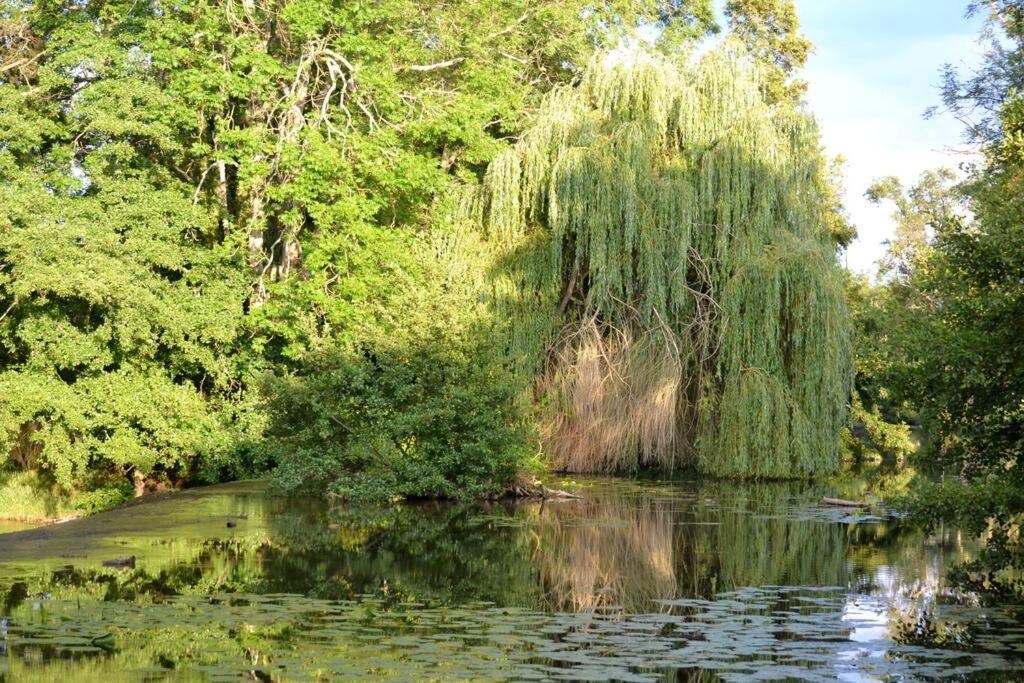 Magnifique Moulin Proche Chablis, Jacuzzi Et Riviere Βίλα Annay-sur-Serein Εξωτερικό φωτογραφία