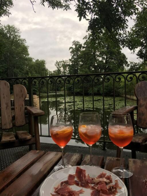 Magnifique Moulin Proche Chablis, Jacuzzi Et Riviere Βίλα Annay-sur-Serein Εξωτερικό φωτογραφία