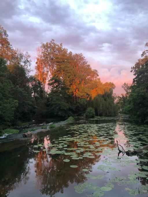 Magnifique Moulin Proche Chablis, Jacuzzi Et Riviere Βίλα Annay-sur-Serein Εξωτερικό φωτογραφία