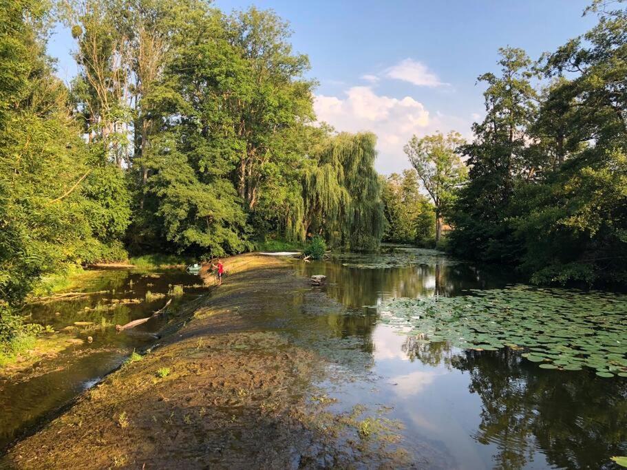 Magnifique Moulin Proche Chablis, Jacuzzi Et Riviere Βίλα Annay-sur-Serein Εξωτερικό φωτογραφία