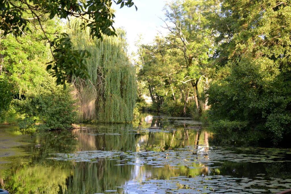 Magnifique Moulin Proche Chablis, Jacuzzi Et Riviere Βίλα Annay-sur-Serein Εξωτερικό φωτογραφία